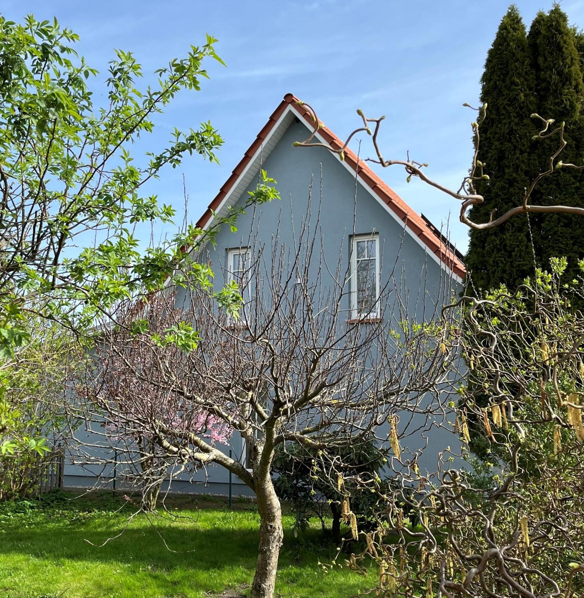 Ferienhaus Slichtemolen Hessenburg المظهر الخارجي الصورة